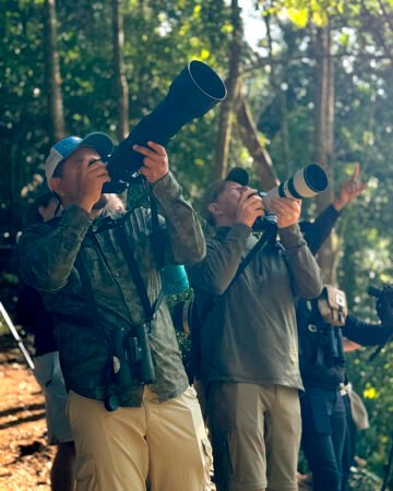 BIRDWATCHING AT MIRADOR REY TEPEPUL (HALF DAY)