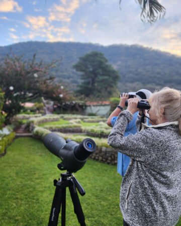 AVISTAMIENTO DE AVES Y NATURALEZA (HALF DAY)